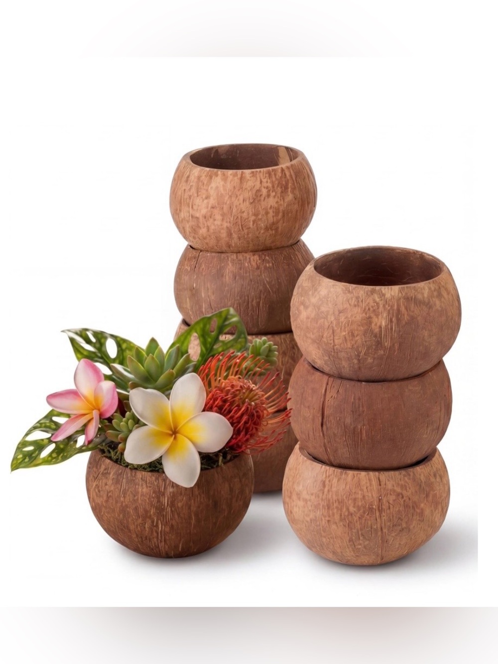 Natural Brown Coconut Shell Planter Bowl - Set of 16